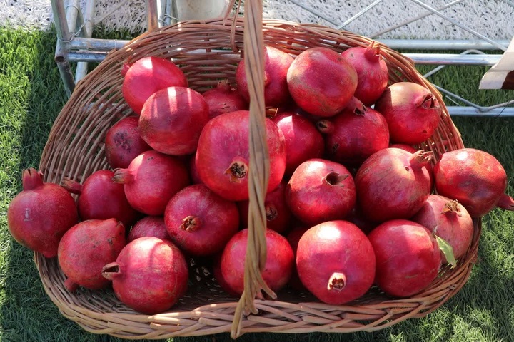 افتتاح ششمین جشنواره شکرگزاری برداشت انار خورهه/ تجلی همدلی مردمی و آیین کهن در محلات