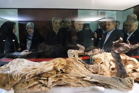 گزارش تصویری سفر وزیر میراث فرهنگی، گردشگری و صنایع دستی به استان زنجان