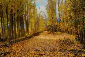 زیبایی‌های پاییز در آذربایجان‌ غربی