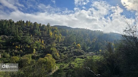 پاییز گرگان