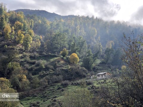 پاییز گرگان