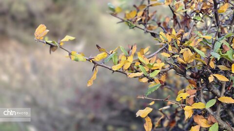 پاییز گرگان