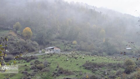 پاییز گرگان