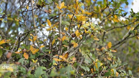 پاییز گرگان