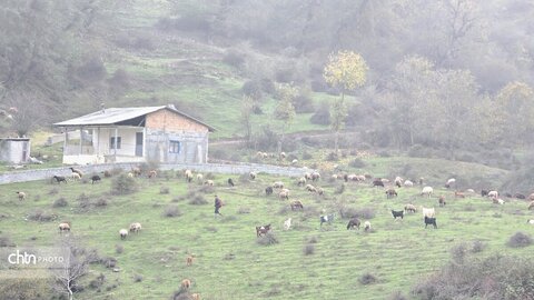 پاییز گرگان