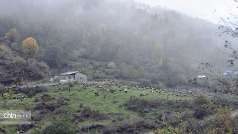 پاییز گرگان