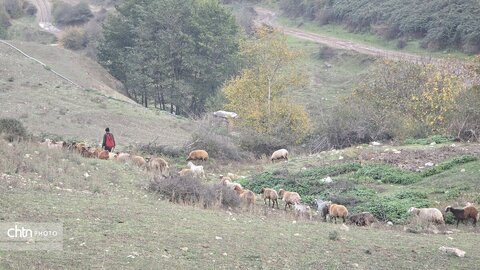 پاییز گرگان