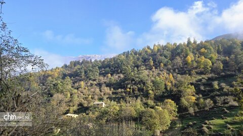 پاییز گرگان