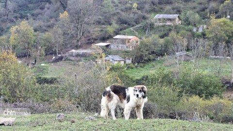 پاییز گرگان