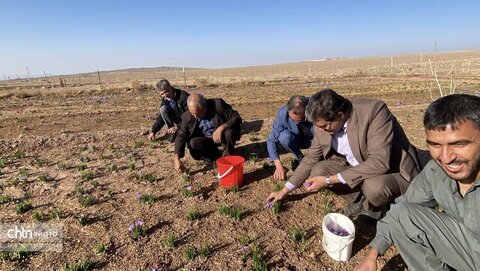 بازدید مدیر کل میراث فرهنگی از  ظرفیتهای تاریخی و گردشگری روستای بورق