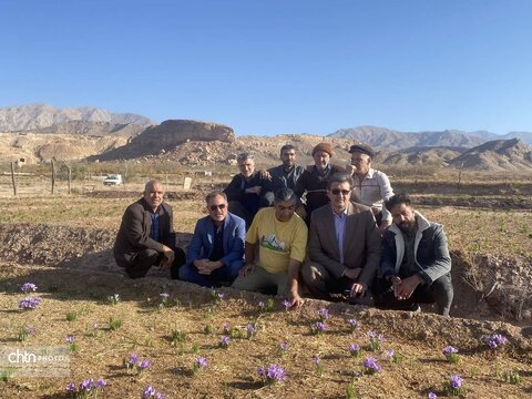 بازدید مدیر کل میراث فرهنگی از  ظرفیتهای تاریخی و گردشگری روستای بورق