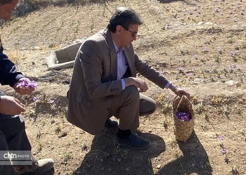 بازدید مدیر کل میراث فرهنگی یزد از کارگاه داوطلبانه مرمت اضطراری برج سنگی تاریخی روستای زارکوییه بهاباد