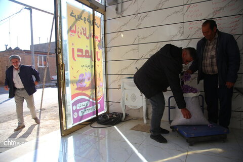 طلای سرخ خراسان شمالی؛ روایت تصویری از فصل برداشت زعفران