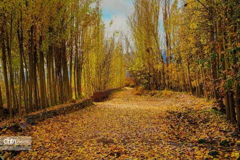 زیبایی‌های پاییز در آذربایجان‌ غربی