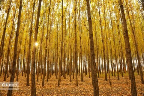 زیبایی‌های پاییز در آذربایجان‌ غربی