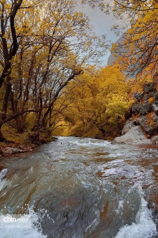 زیبایی‌های پاییز در آذربایجان‌ غربی