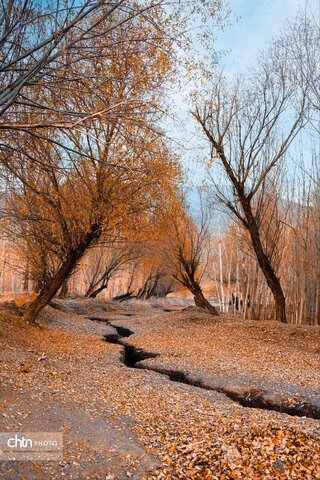 زیبایی‌های پاییز در آذربایجان‌ غربی