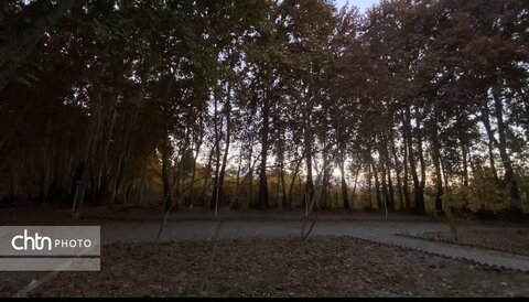 بازدید برزین ضرغامی مدیر عامل صندوق احیا و بهره برداری از اماکن تاریخی و فرهنگی و هیئت همراه از مجموعه میراث جهانی باغ پهلوانپور و سوییت های اقامتی مجموعه