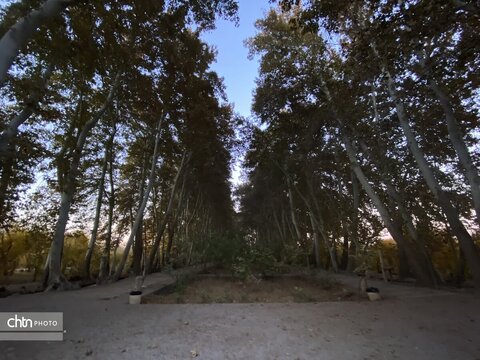 بازدید برزین ضرغامی مدیر عامل صندوق احیا و بهره برداری از اماکن تاریخی و فرهنگی و هیئت همراه از مجموعه میراث جهانی باغ پهلوانپور و سوییت های اقامتی مجموعه