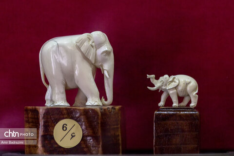 پردیس موزه ایی رامسر