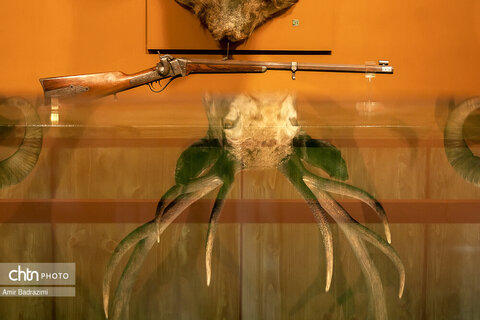 پردیس موزه ایی رامسر