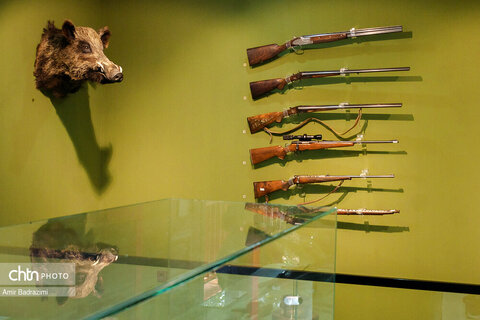 پردیس موزه ایی رامسر