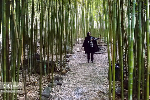 پردیس موزه ایی رامسر