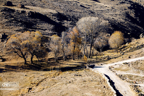 پل معلق ورگه سران؛ جاذبه ای هیجان انگیز در سرعین