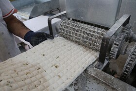 گز بلداجی از مهم‌ترین ظرفیت‌های گردشگری چهارمحال و بختیاری است