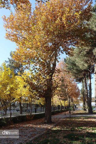 مجموعه تاریخی و فرهنگی هارونیه ( گنبدخانه تابران ) یکی از برجسته‌ترین یادمان‌های تاریخی تابران توس