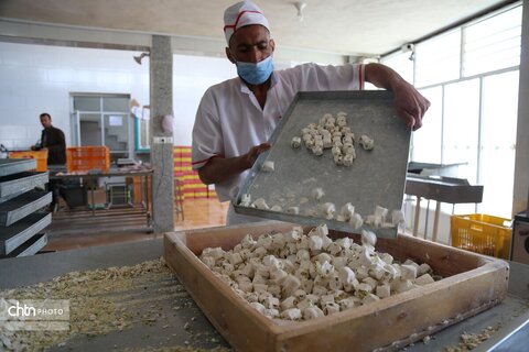 گز بلداجی، سوغاتی شیرین و به‌یادماندنی برای گردشگران