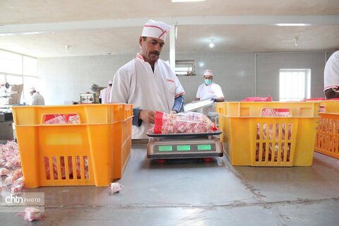 گز بلداجی، سوغاتی شیرین و به‌یادماندنی برای گردشگران