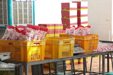 گز بلداجی، سوغاتی شیرین و به‌یادماندنی برای گردشگران