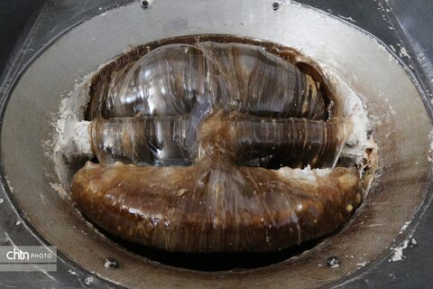 گز بلداجی، سوغاتی شیرین و به‌یادماندنی برای گردشگران