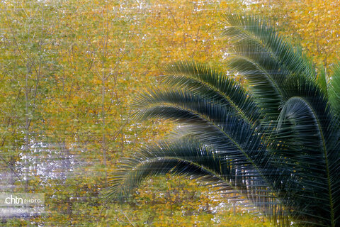 نمک آبرود ، تفریح و طبیعت زیبا