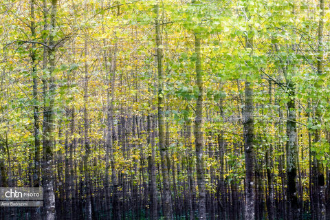 نمک آبرود ، تفریح و طبیعت زیبا