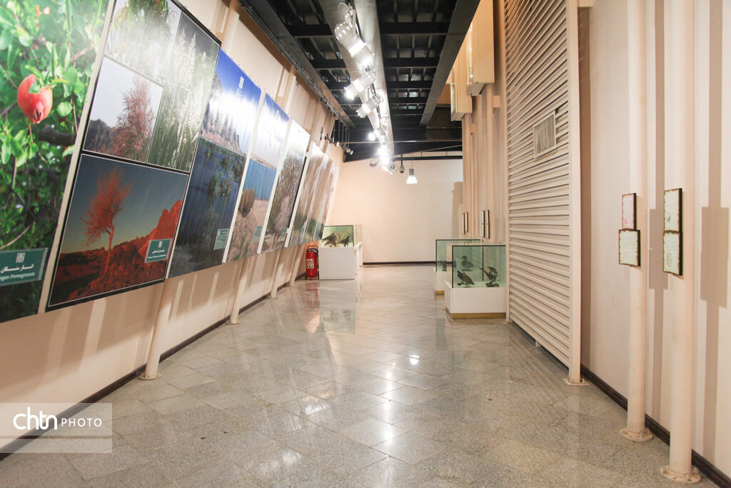 موزه جنوبشرق؛ ویترین مستند ۶ هزار سال تمدن، فناوری و هنر در سیستان و بلوچستان/ نقطه اتصال شهر سوخته، اسپیدژ، شهداد و جیرفت در یک روایت واحد