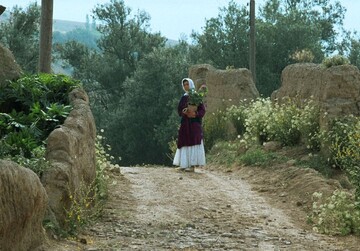 جشنواره جهانی فیلم فجر با نمایش فیلمی از عباس کیارستمی افتتاح می‌شود