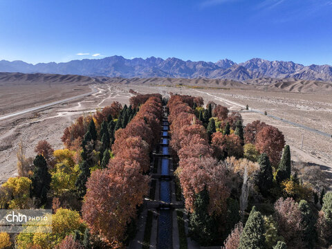 پاییز باغ شاهزاده