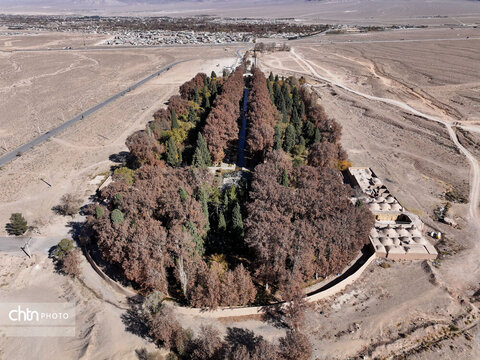 پاییز باغ شاهزاده