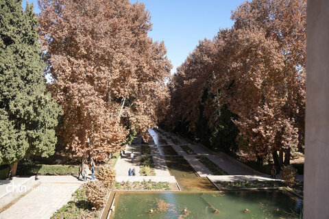 پاییز باغ شاهزاده