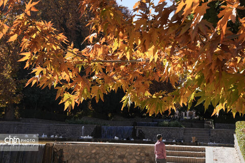 پاییز باغ شاهزاده