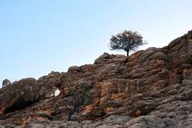 «آبشار زردلیمه»؛ سکوت پاییزی زاگرس