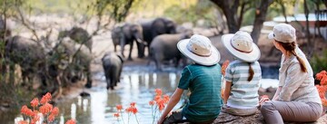 رشد ۵ درصدی گردشگری جهانی در ۹ ماهه ۲۰۲۵/ بازگشت فراتر از دوران پیش از کرونا