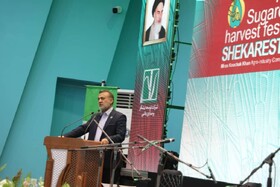 خوزستان؛ مهد هزارساله شکر ایران