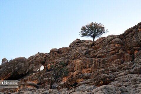 «آبشار زردلیمه»؛ سکوت پاییزی زاگرس