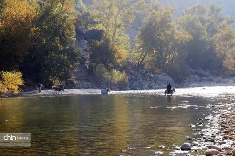 «آبشار زردلیمه»؛ سکوت پاییزی زاگرس