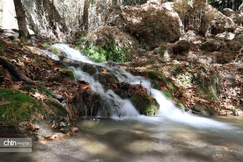 «آبشار زردلیمه»؛ سکوت پاییزی زاگرس