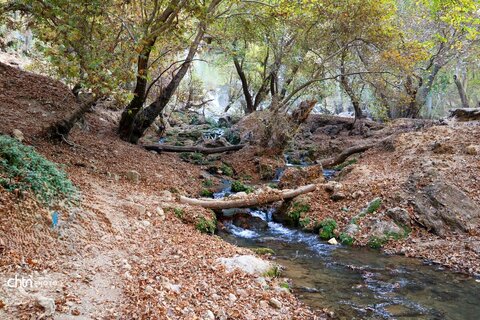 «آبشار زردلیمه»؛ سکوت پاییزی زاگرس