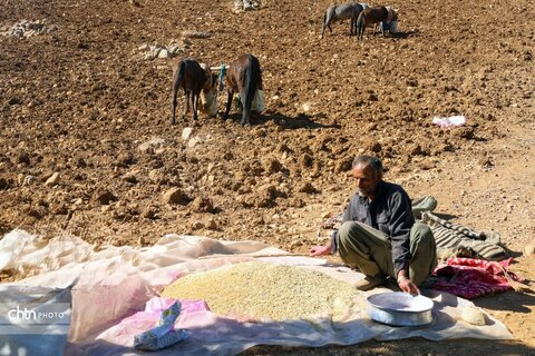 «آبشار زردلیمه»؛ سکوت پاییزی زاگرس